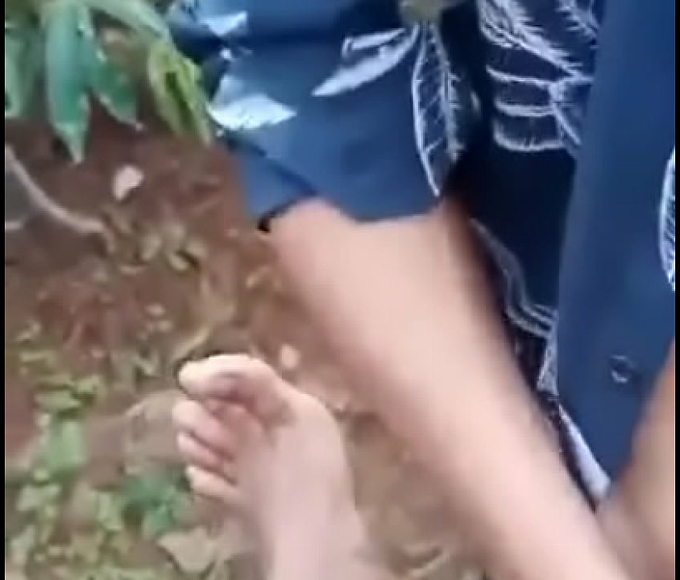 Explore the Luscious Forest with a Seductive MILF